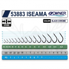 53883 Iseama İğne